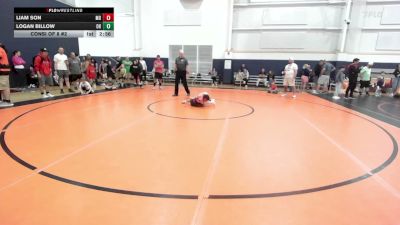 50 lbs Consi Of 8 #2 - Liam Son, MD vs Logan Billow, OH
