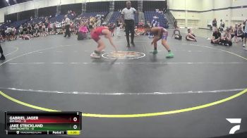 91 lbs Finals (2 Team) - Jake Strickland, Team Palmetto vs Gabriel Jager, Bad Bass