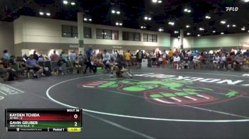 106 lbs Placement Matches (16 Team) - Kayden Tchida, SD Red vs Gavin Gruber, Ohio Titan Blue