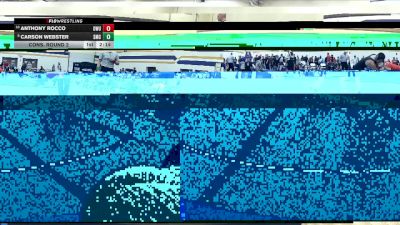 133 lbs Cons. Round 2 - Anthony Rocco, Ohio Wesleyan University vs Carson Webster, Southwestern Michigan College