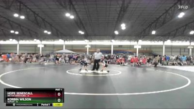 45 lbs Quarterfinals (8 Team) - Hope Senescall, Big Cat Wrestling vs Korbin Wilson, Suples