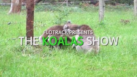 The Kolas Show 2015: October 22nd Release