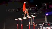 Netherlands, Epke Zonderland, PB - 2015 World Championships Podium Training