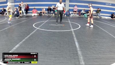 84 lbs Round 6 (8 Team) - Jaxson Mahoney, CTWHALE vs Vito Naljayan, Mat Assassins Red