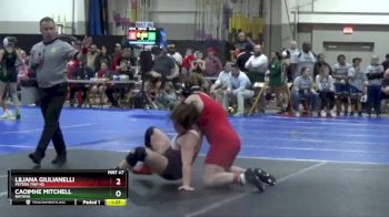 190 lbs Champ. Round 2 - Caoimhe Mitchell, Batavia vs Liliana Giulianelli, Peters Twp Hs