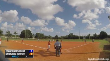 Clearwater Lady Bombers Gold vs. Gators Gold-Flannery, 10-24-15 - Rising Stars