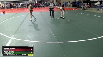 95 lbs Champ. Round 1 - Brett Jensen, Springfield vs Alex Adams, Minnewaska