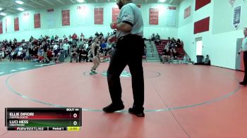 100 lbs Semifinal - Ellie DiFiori, Canton South vs Luci Hess, Crestwood