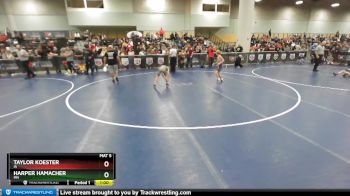 78 lbs Cons. Round 3 - Taylor Koester, IA vs Harper Hamacher, MN