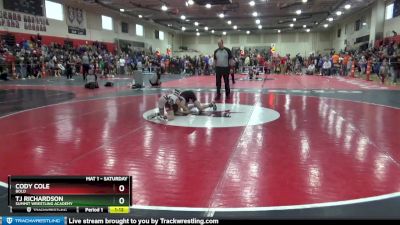 85 lbs Cons. Round 4 - Tj Richardson, Summit Wrestling Academy vs Cody Cole, BOLD