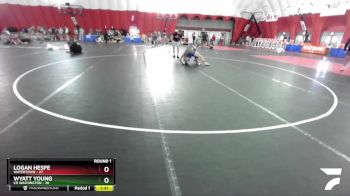 175 lbs Round 1 (16 Team) - Wyatt Young, CR Washington vs Logan Hespe, Watertown