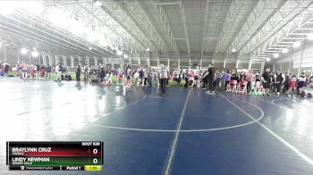 155 lbs Cons. Round 3 - Braylynn Cruz, Tooele vs Lindy Newman, Desert Hills