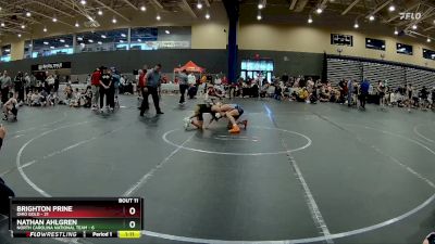 96 lbs Round 3 (8 Team) - Brighton Prine, Ohio Gold vs Nathan Ahlgren, North Carolina National Team