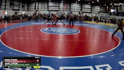 138 lbs Round 2 (6 Team) - Hans Strobl, DARKHORSE WRESTLING CLUB vs Gage Carter, GREAT BRIDGE WRESTLING CLUB - GREEN