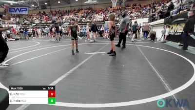 73 lbs Quarterfinal - Colt Fife, Tecumseh Youth Wrestling vs Eli Rabe, Piedmont