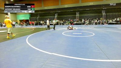 115 lbs Consi Of 16 #1 - Brooklyn Norton, Wasatch vs Myli Montano, West Linn
