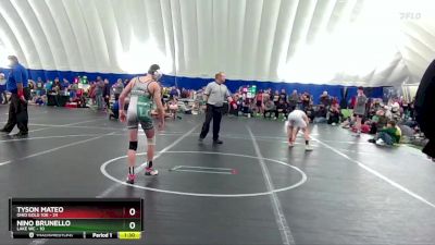 100 lbs Round 7 (8 Team) - Tyson Mateo, Ohio Gold 10k vs Nino Brunello, Lake WC