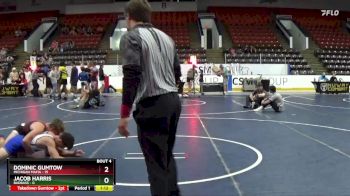 130 lbs Quarterfinals (8 Team) - Jacob Harris, BadBass vs Dominic Gumtow, Michigan Mafia