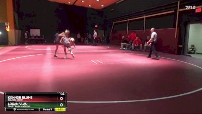 106 lbs Round 1 - Konnor Blume, Roland-Story vs Logan Vlau, Tinley Park (Andrew)