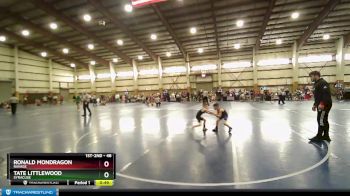 48 lbs Quarterfinal - Ronald Mondragon, Ravage vs Tate Littlewood, SYRACUSE