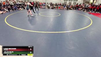 110 lbs Champ. Round 2 - Lexie Brickner, Poudre vs Azlyn Silva, Cheyenne East