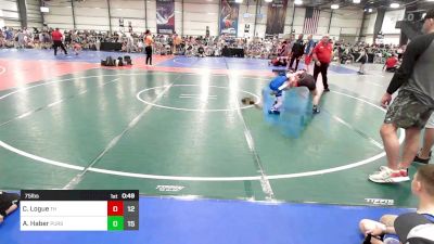 75 lbs Rr Rnd 3 - Colin Logue, Turks Head vs Avery Haber, Pursuit Wrestling Academy - Green