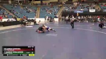 157 lbs Champ. Round 2 - 7 Derrick Smallwood, Lindsey Wilson vs 10 Aaron Gandara, Southern Oregon