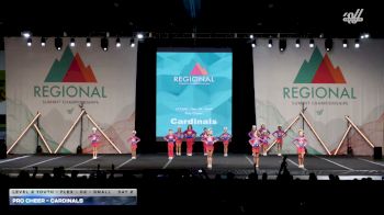 Pro Cheer - Cardinals [2026 L2 Youth - Flex - D2 - Small Day 2] 2026 The Southeast Regional Summit