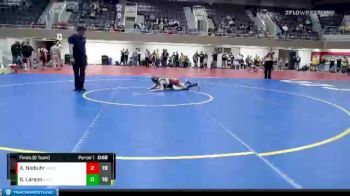 80 lbs Finals (8 Team) - Broden Larson, Roseau vs Austin Niebuhr, Maple River/United South Central