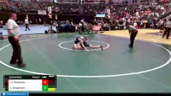 113 lbs Quarterfinal - Chance Mathews, Cherokee Trail vs Lincoln Gregersen, Ralston Valley