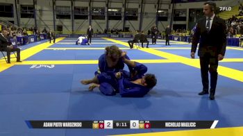 Nicholas Maglicic vs Adam Wardzinski | 2025 World Jiu-Jitsu IBJJF Championship