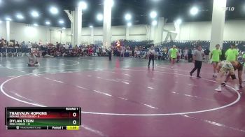 138 lbs Round 3 (6 Team) - Dylan Stein, Iowa Gables vs Traevaun Hopkins, Indiana Goon Squad