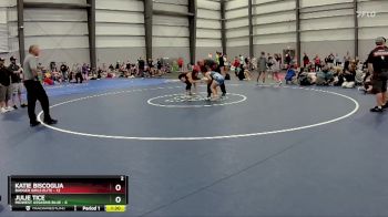 106 lbs Final - Katie Biscoglia, Badger Girls Elite vs Julie Tice, Midwest Assasins Blue