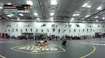 141 lbs Quarterfinal - Keegan McMahon, Baldwin Wallace vs Mythias Stucky, Heidelberg