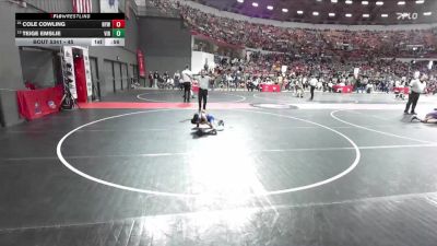 45 lbs Quarterfinal - Cole Cowling, Neenah Youth Wrestling vs Teige Emslie, Viroqua