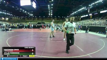 152 lbs Cons. Round 3 - Mastroeni Zinos, Treasure Coast vs Dylan Parkinson, Matanzas
