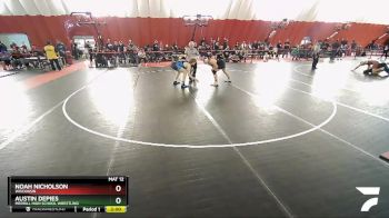 170 lbs Quarterfinal - Noah Nicholson, Wisconsin vs Austin Depies, Merrill High School Wrestling