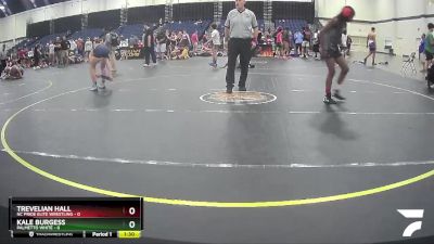 108 lbs Round 2 (4 Team) - Trevelian Hall, NC Pride Elite Wrestling vs Kale Burgess, Palmetto White