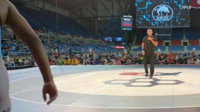 113 lbs 3rd Place Match - Greysen Packer, ID vs Ray Long, IL