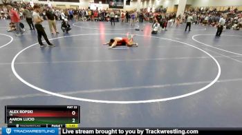 132 lbs Champ. Round 4 - Aaron Lucio, MI vs Alex Ropski, TN