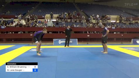 Eric William Bruening vs Brett Lane Gauger 2024 Pan IBJJF Jiu-Jitsu No-Gi Championship