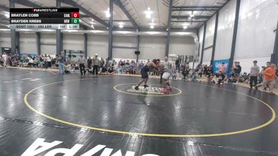285 lbs Quarterfinal - Braylen Cobb, Carlisle vs Brayden Krebs, New Freedom