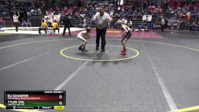 64 lbs Champ. Round 1 - Eli Schaefer, Southern Illinois Bulldogs WC vs Tyler Vail, Lincoln-Way WC