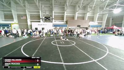 126 lbs Cons. Round 5 - Dixon Peacock, Emery vs Asher Millward, Skyridge