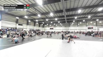 150 lbs Round Of 16 - Anthony Morales, Knights WC vs Austin Schuler, Fossil Ridge High School