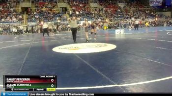 110 lbs Cons. Round 1 - Jillian Schwartz, Mandan vs Bailey Ferderer, Bismarck Century