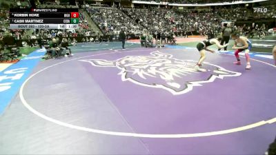 120-2A Semifinal - Cash Martinez, Cedaredge vs Korbin Hoke, Highland