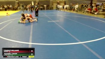 160 lbs Finals (8 Team) - Maxwell Baum, Little Falls vs Charlie Williams, Rocori