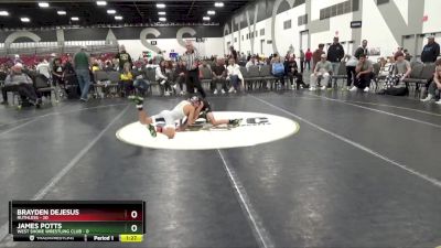 80 lbs Quarterfinals (8 Team) - James Potts, West Shore Wrestling Club vs Brayden DeJesus, Ruthless