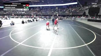 Champ. Round 1 - Hudson Cisar, Sioux Falls Lincoln vs Brylee Brennan, Chamberlain